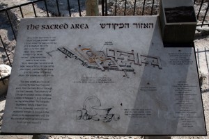 Tel Megiddo 002